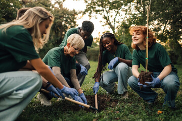 Group of volunteers planting trees in the park