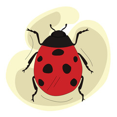 Ladybug or ladybird vector graphic.beetle