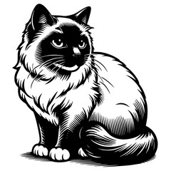 Siamese Cat Illustration