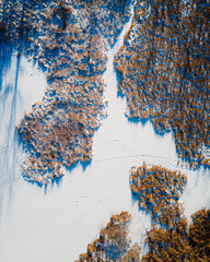 An aerial view of a snow covered swamp. Orange grasses are growing on the banks of the frozen snow covered water. Animal tracks cut across the ice and a stream leaves the wetland at the top.