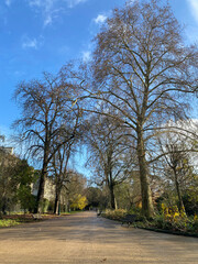 A pathway in a park, surrounded by lush greenery and trees, creating a peaceful and relaxing atmosphere