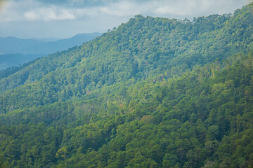 The stunning view of the sun set  from a tourist's standpoint with a foggy hill and a background of a golden sky in National Park, Thailand. Rainforest. Bird's eye view. Aerial view.
