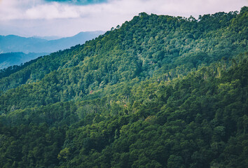 The stunning view of the sun set  from a tourist's standpoint with a foggy hill and a background of a golden sky in National Park, Thailand. Rainforest. Bird's eye view. Aerial view.