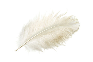 Fototapeta premium Elegant white feather resting gracefully on a plain background showcasing its delicate texture and natural beauty