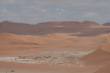 PRECIOSOS PAISAJES DE NAMIBIA, EL DESIERTO AFRICANO. EL MÁS ANTIGUO DEL MUNDO.