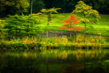 autumn in the park