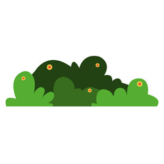 Green Garden Grass Vector