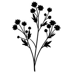 illustration of a plant