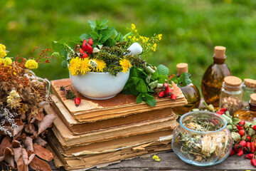 Medicinal herbs alternative medicine in nature. Selective focus.