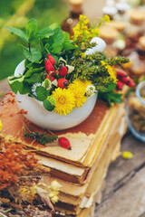 Medicinal herbs alternative medicine in nature. Selective focus.