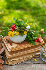 Medicinal herbs alternative medicine in nature. Selective focus.