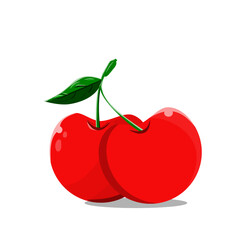 red cherries on white background vector