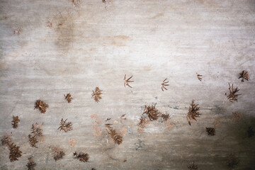 abstract old wall texture for background