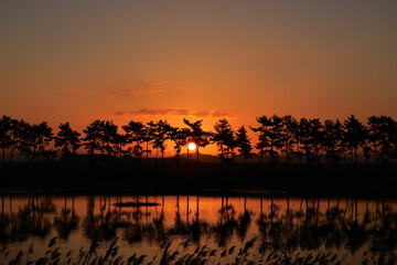 이른 아침 여명과 함께 떠오르는 태양