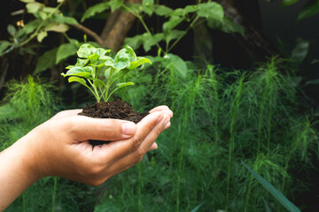 a girl holding a plant in hand