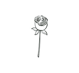 Elegant Rose Line Art Drawing with Leaves for Coloring and Creative Floral Activities