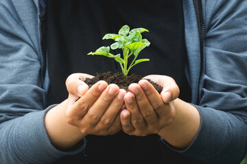 a girl holding a plant in hand