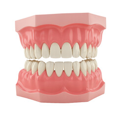 Obraz premium Healthy Human Teeth Model 3D Render Perfect Smile Dental Anatomy Illustration Healthcare Medical Jaw