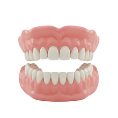 Healthy Human Teeth Full Set Dental Model 3D Render Perfect Smile Realistic Anatomy Oral Hygiene Jaw