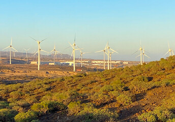 Wind turbines generating electricity in Tenerife, Canary Islands,Spain.Sustainable renewable green...