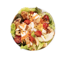 bowl of fresh salad with cubes of tomato chicken and lettuce isolated in close up top view