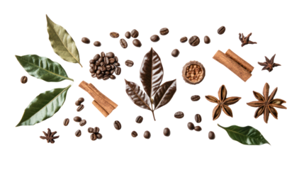 A beautiful arrangement of coffee beans, spices, and green leaves on a white background, showcasing a rich blend of natural ingredients.