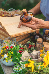 Medicinal herbs alternative medicine old woman. Selective focus.