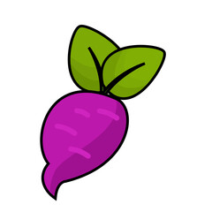 sweet potato illustration