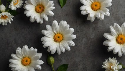 Obraz premium Flowers composition. White flowers on gray background