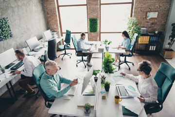 Full length top view photo of teamwork startup partners sit table teambuilding comfortable nice...
