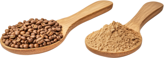 Spoon and scoop filled with coffee beans on a wooden table in natural light isolated on a white background.