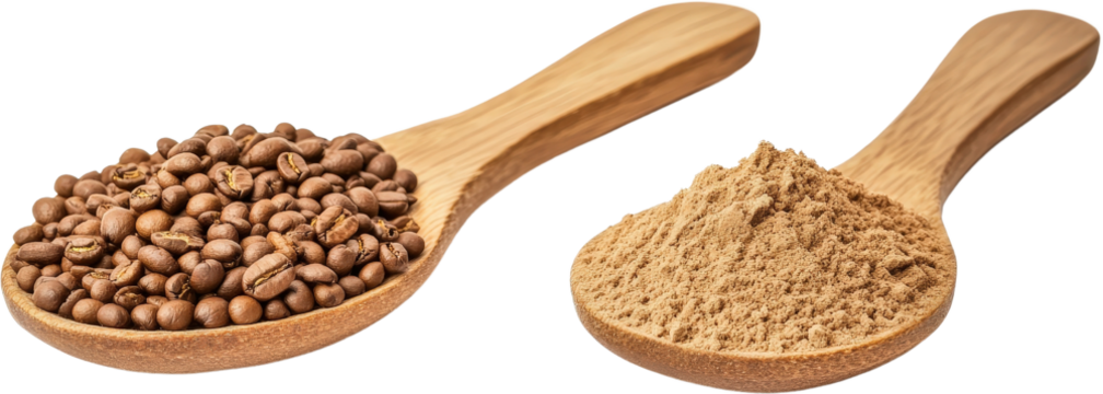 Spoon and scoop filled with coffee beans on a wooden table in natural light isolated on a white background.