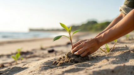 Young plant being nurtured with care in a sunny indoor garden
