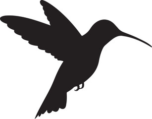 Hummingbird logo design Colibri bird icon vector image