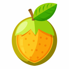 vector illustration of an abiu