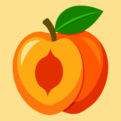 ackee vector illustration