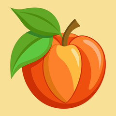 vector illustration of an ackee