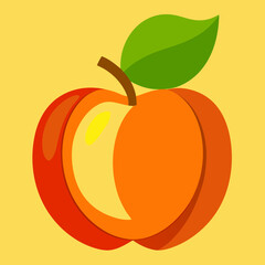 vector illustration of an ackee fruit