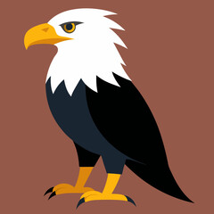 bald eagle vector illustration african
