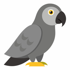  grey parrot cartoon vector