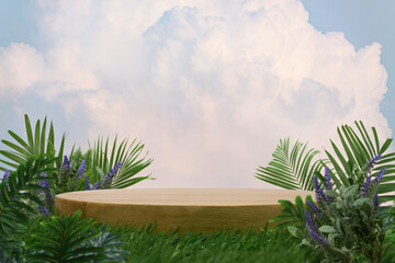 Minimal wood podium with tropical forest plant blur cloud blue sky nature background.Product...