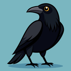 vector illustration of an american crow
