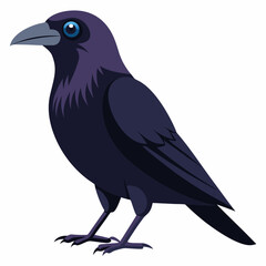 vector illustration of an american crow