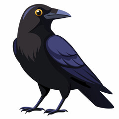 vector illustration of an american crow