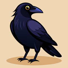 vector illustration of an american crow