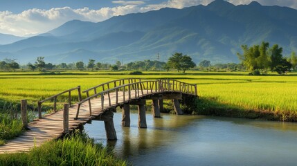 Wooden Bridge Over a Canal with Rice Paddy Fields and Mountains in the Background