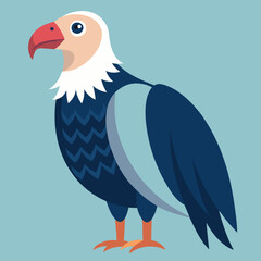 andean condor bird vector