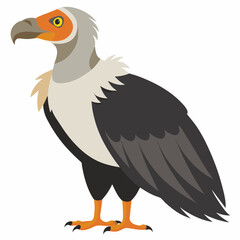 andean condor bird vector