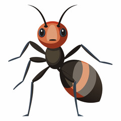 ant isolated on white background