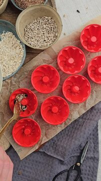 DIY Winter, Vogelfutter selber machen, Dekoration im Winter basteln, V&ouml;gel f&uuml;ttern